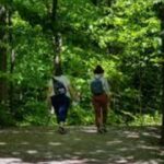 Group Hike