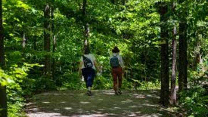 Group Hike