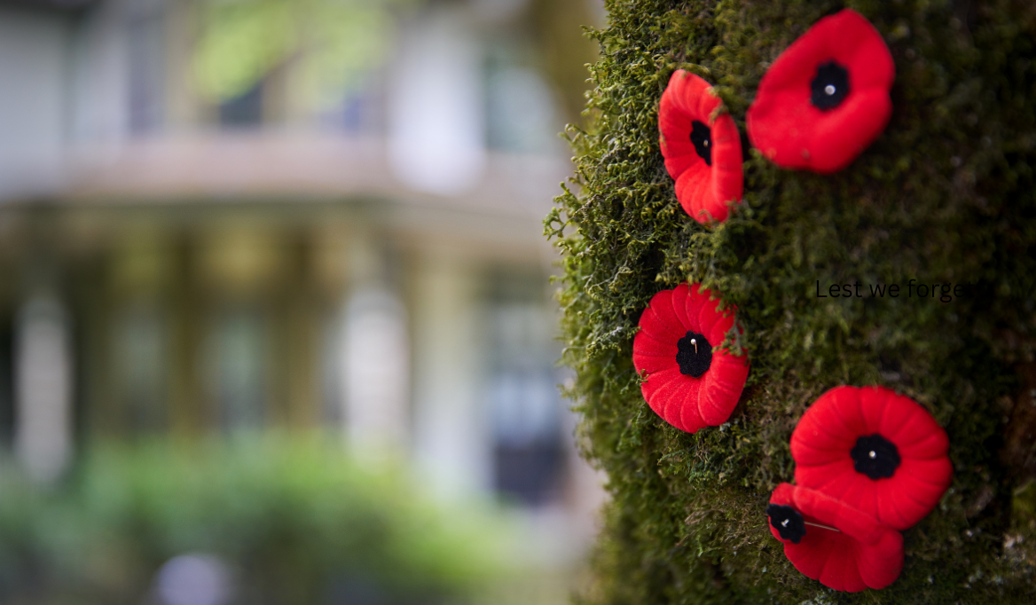 Remembrance Sunday